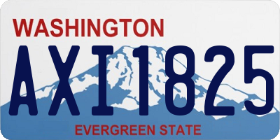 WA license plate AXI1825