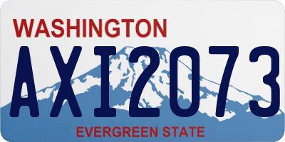 WA license plate AXI2073