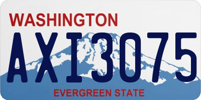 WA license plate AXI3075