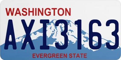 WA license plate AXI3163