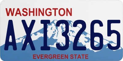 WA license plate AXI3265