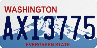 WA license plate AXI3775