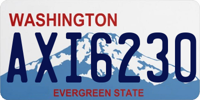WA license plate AXI6230