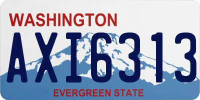 WA license plate AXI6313