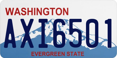 WA license plate AXI6501