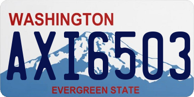 WA license plate AXI6503