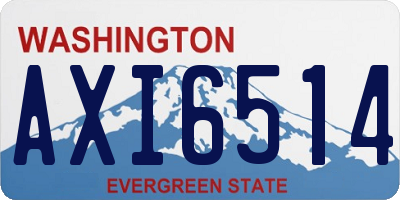 WA license plate AXI6514