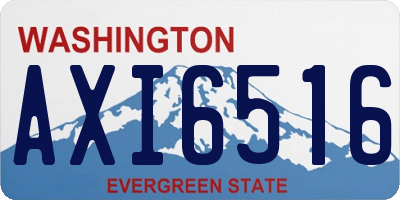 WA license plate AXI6516