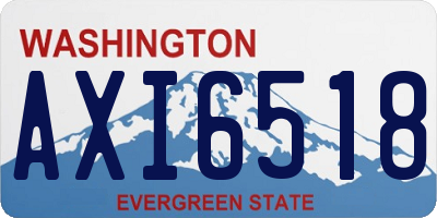 WA license plate AXI6518