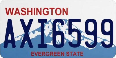 WA license plate AXI6599