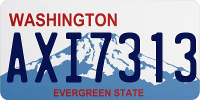 WA license plate AXI7313