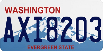 WA license plate AXI8203