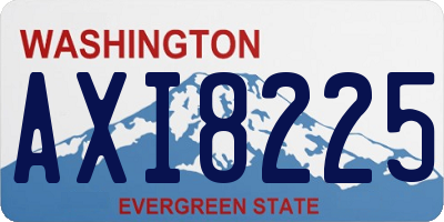 WA license plate AXI8225