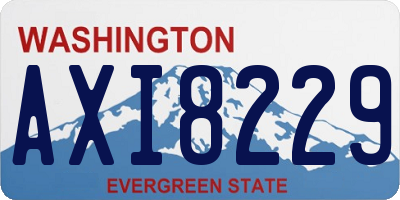 WA license plate AXI8229