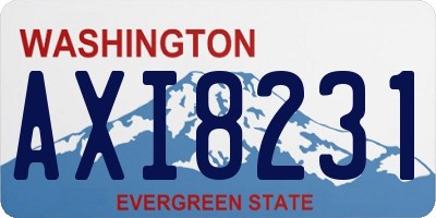 WA license plate AXI8231