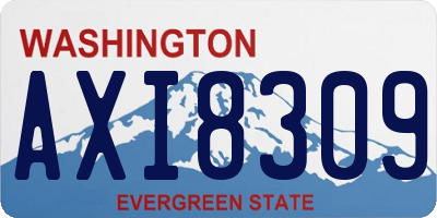 WA license plate AXI8309