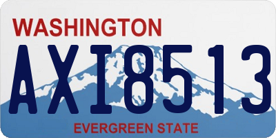 WA license plate AXI8513