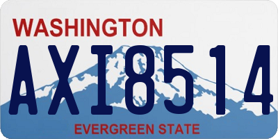 WA license plate AXI8514