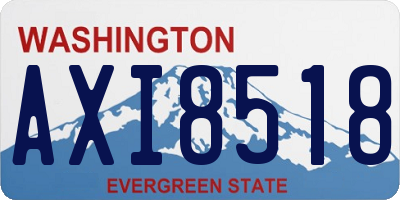 WA license plate AXI8518