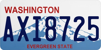 WA license plate AXI8725