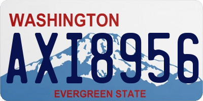 WA license plate AXI8956