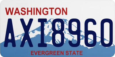 WA license plate AXI8960