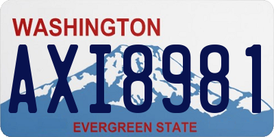 WA license plate AXI8981