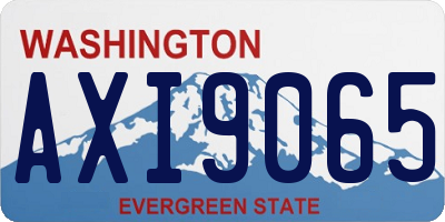 WA license plate AXI9065