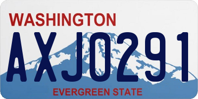 WA license plate AXJ0291