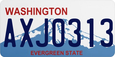 WA license plate AXJ0313