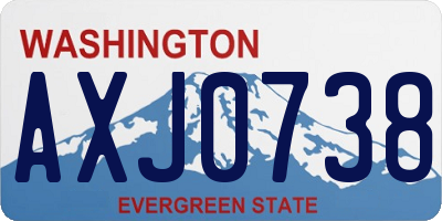 WA license plate AXJ0738
