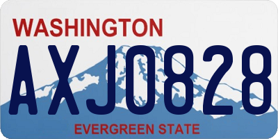 WA license plate AXJ0828