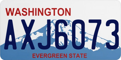 WA license plate AXJ6073