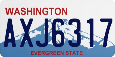 WA license plate AXJ6317