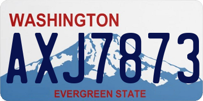 WA license plate AXJ7873