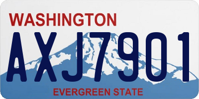 WA license plate AXJ7901