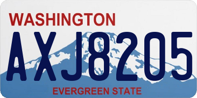 WA license plate AXJ8205