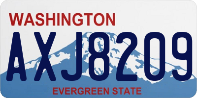 WA license plate AXJ8209