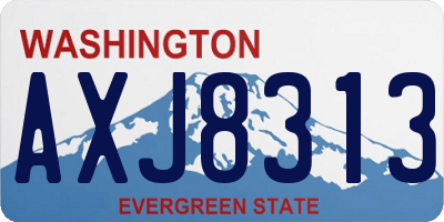 WA license plate AXJ8313