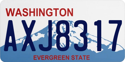 WA license plate AXJ8317