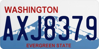 WA license plate AXJ8379