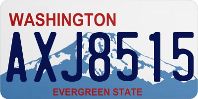 WA license plate AXJ8515