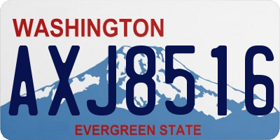 WA license plate AXJ8516