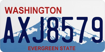 WA license plate AXJ8579