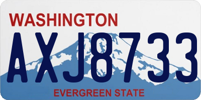 WA license plate AXJ8733