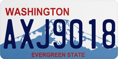 WA license plate AXJ9018