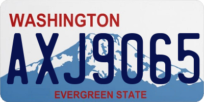 WA license plate AXJ9065