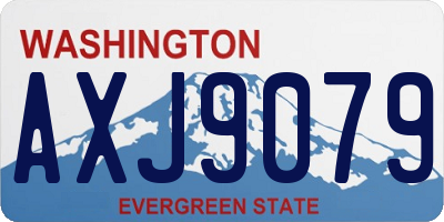 WA license plate AXJ9079