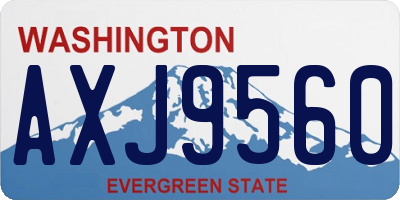 WA license plate AXJ9560