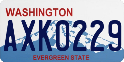 WA license plate AXK0229